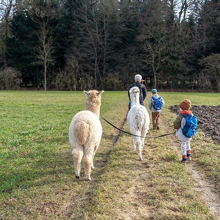 Uelis Stöckli-Familienfreundliche Wohnung auf dem Bauernhof mit Hotpot und Alpakatrekking Meikirch Exterior foto