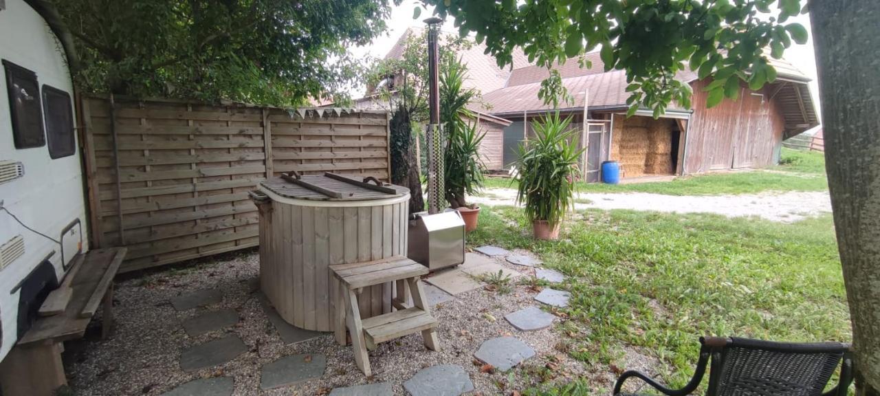 Uelis Stöckli-Familienfreundliche Wohnung auf dem Bauernhof mit Hotpot und Alpakatrekking Meikirch Exterior foto